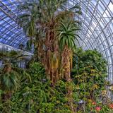 Myriad Botanical Gardens