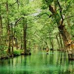 Blue Hole Regional Park