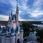 Walt Disney World® Resort