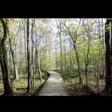 Heckrodt Wetland Reserve