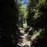 Watkins Glen State Park