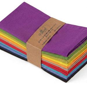 Multicolor Cloth Napkins - Set of 12