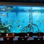 RumFish Grill