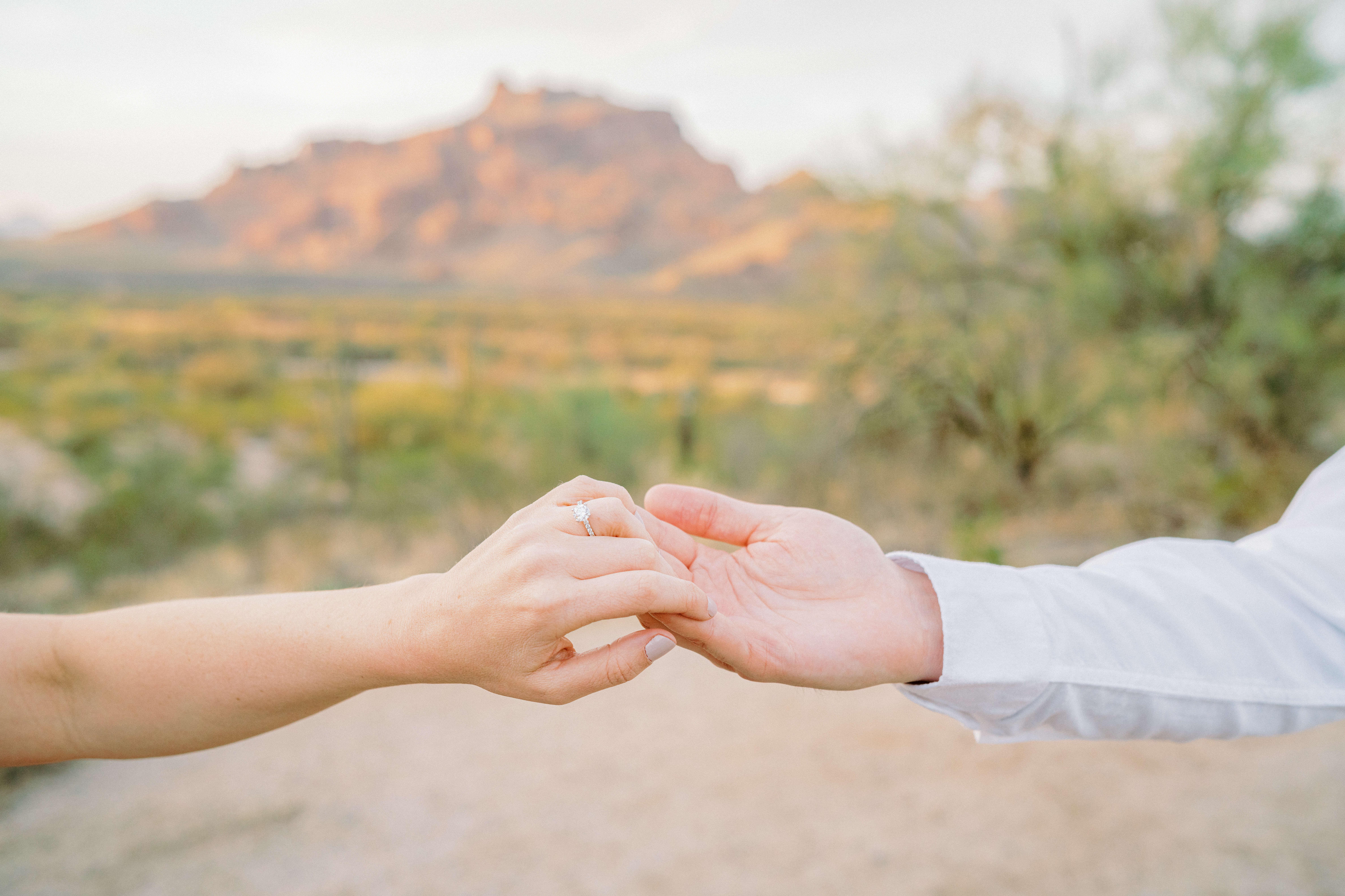 The Wedding Website of Brooke Chaplain and Nick Conigliaro