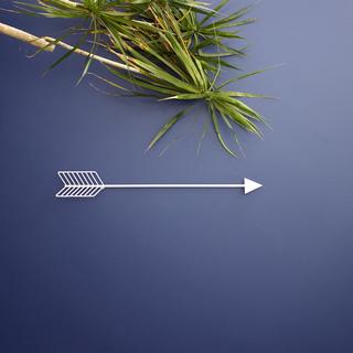 Wall Arrow