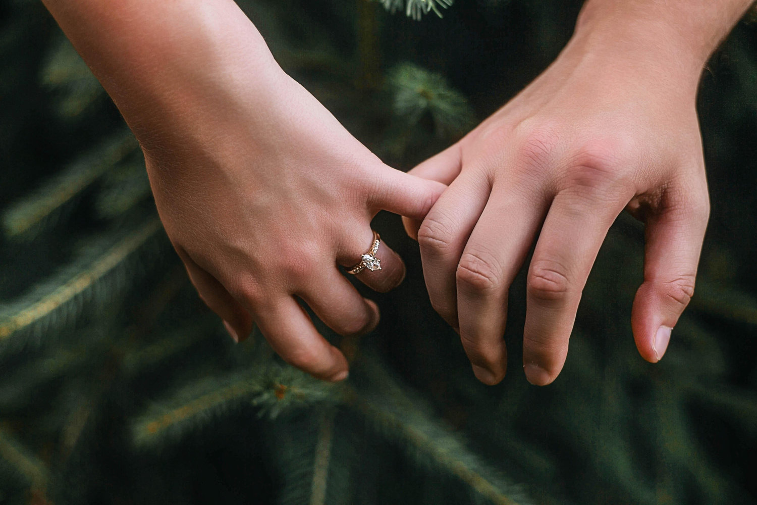 The Wedding Website of Ella Kantz and Nick Jozwiak