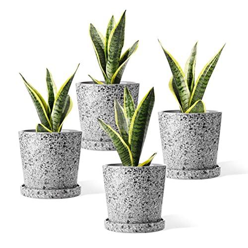 POTEY Ceramic Plant Pot Connected Saucer - 4.8 Inch Medium Indoor Flower Planter Container Garden Glazed with Drainage Decor Offic - Set of 4, Gray