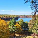 Visit deCordova Sculpture Park
