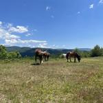 Horseback Riding at Abenaki Farm