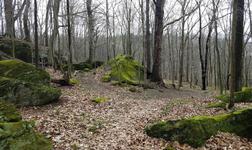Hiking