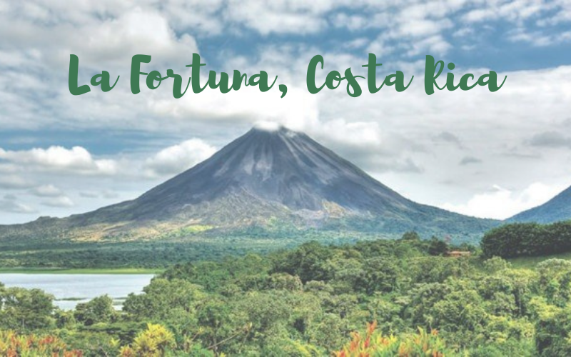 The Wedding Website of Hallie Exall and Dayton Wiseman