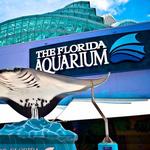 The Florida Aquarium