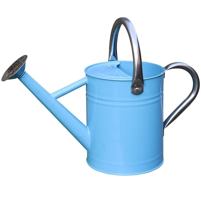 yourjoy Metal Watering Can, One Gallon Watering Cans Stainless Steel for Outdoor Indoor Garden Plants Watering (Stainless Steel Handle Blue)