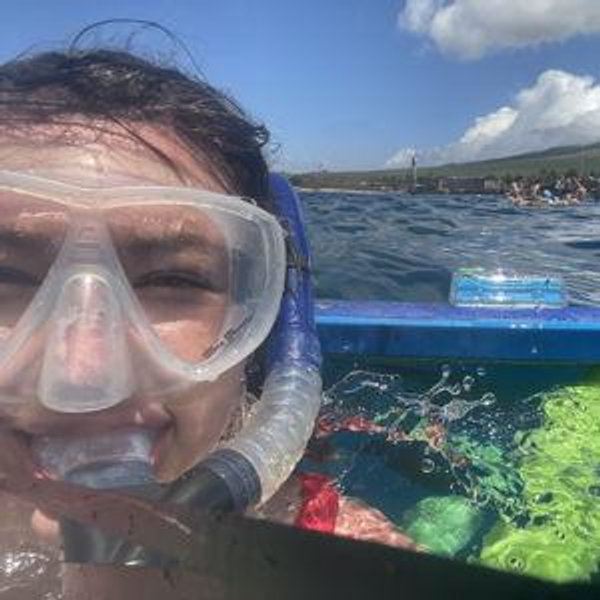 Snorkeling with Turtles for 2