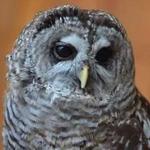 MARS Wildlife Rescue Hospital