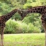 Woodland Park Zoo