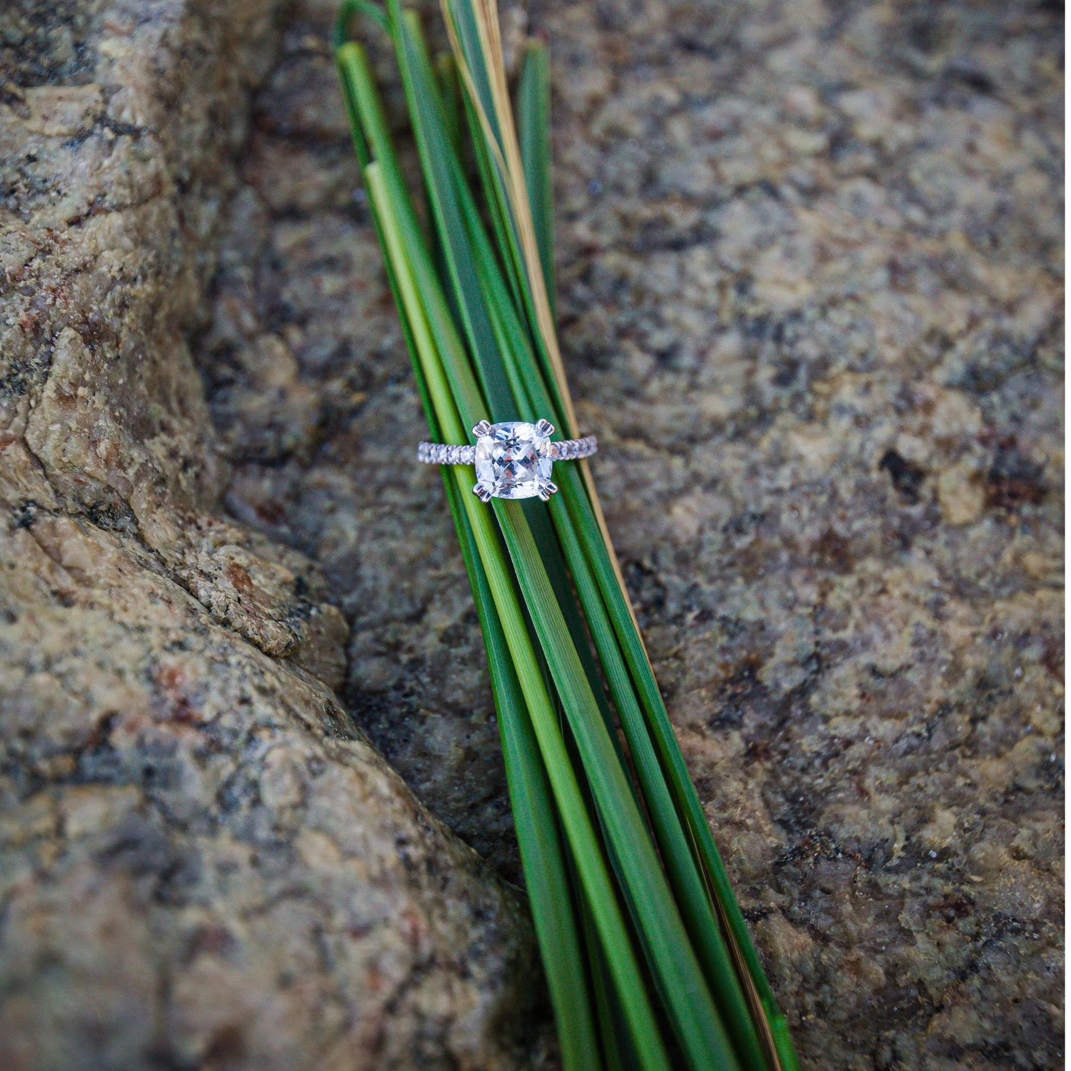 Traci's Engagement Ring