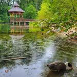 Botanical Gardens