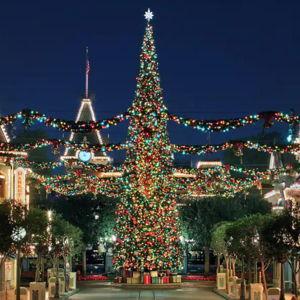 Christmas at Disneyland