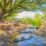 Riparian Preserve