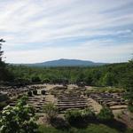 Cathedral of the Pines