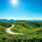 Prosecco Road