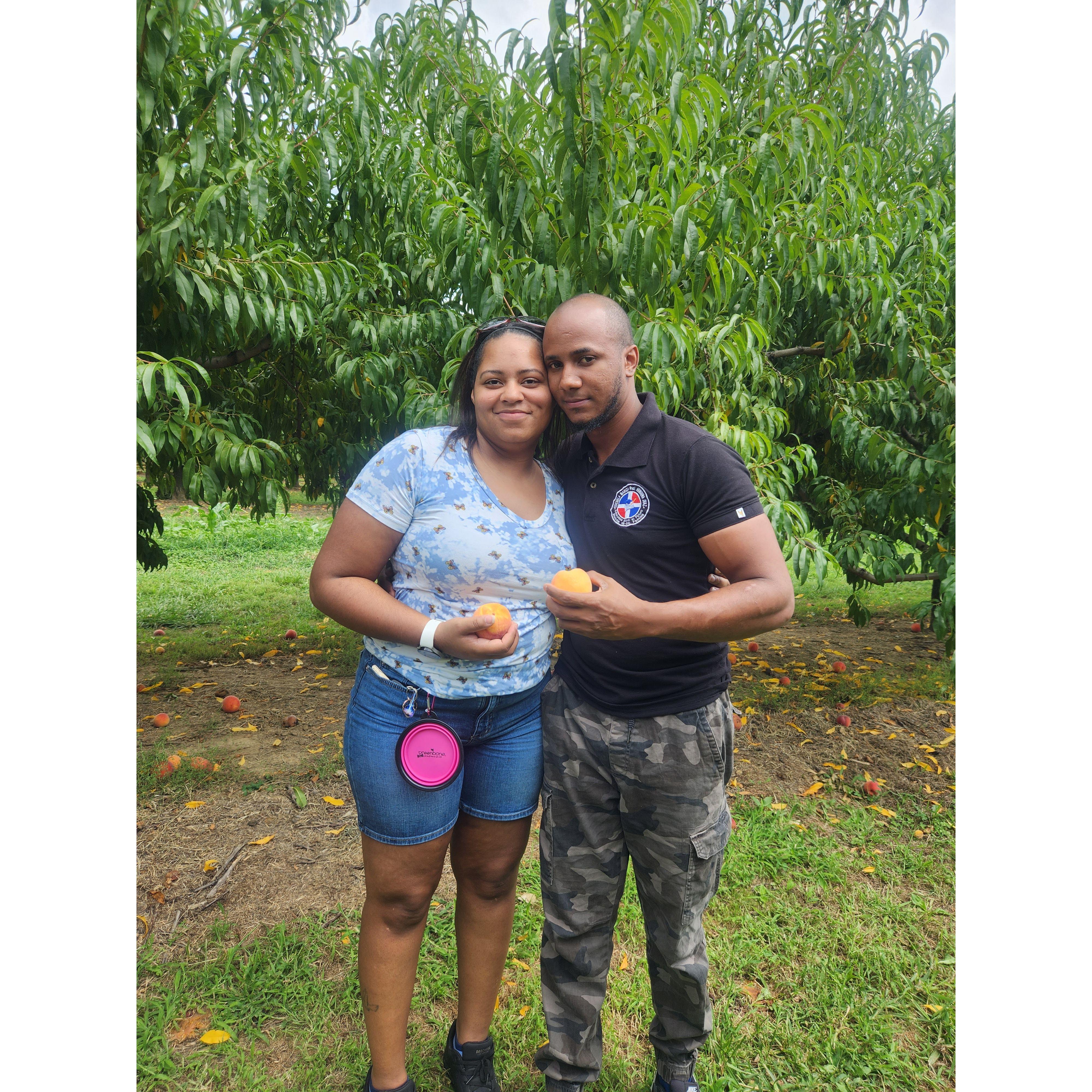 Peach picking is one of our favorite memories together!