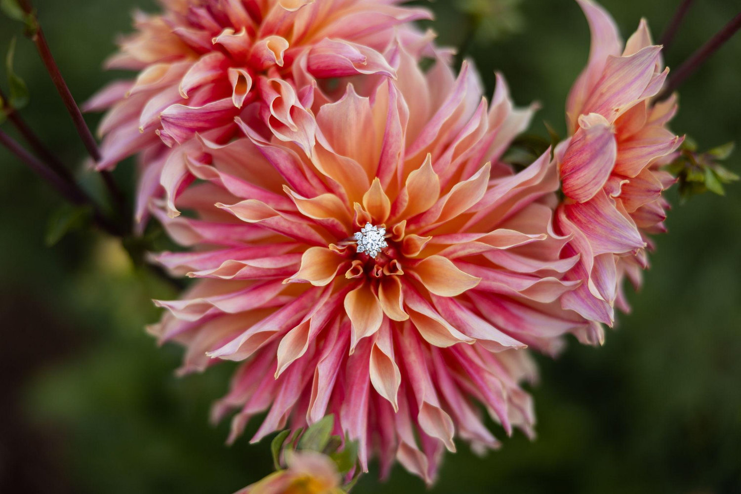 The Wedding Website of Xio Lopp and John Charles