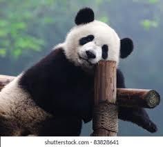 The Wedding Website of steven Batista and Rhonda Valenzuela