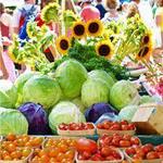 Saturday on the Square - Farmer's Market