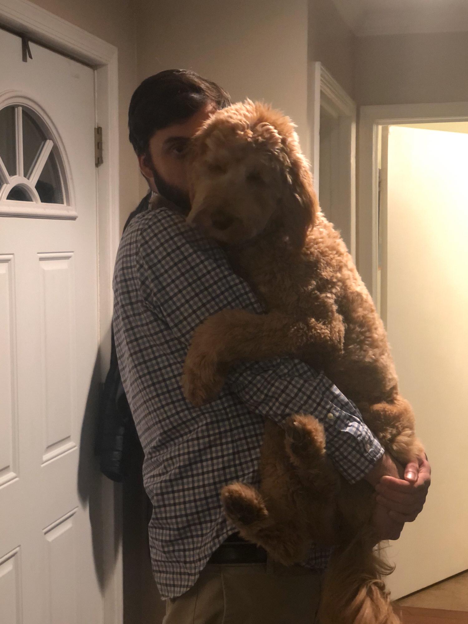 daddy cuddles with our baby girl
