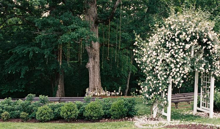 The Wedding Website of Tyler Hayworth and Lauren Dalton Smith
