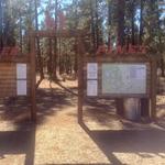 Hyzer Pines Disc Golf Course
