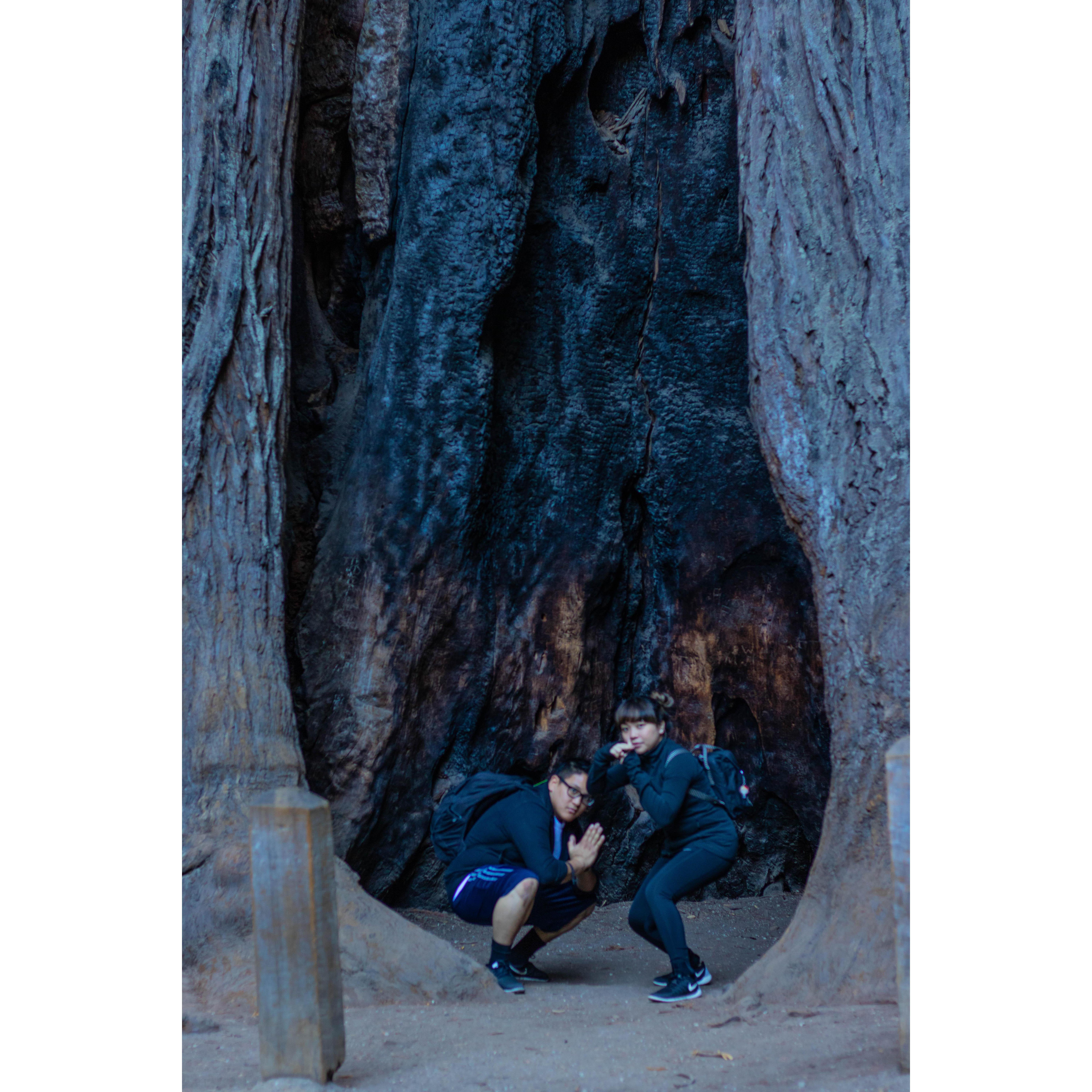 Big Basin hiking trip!