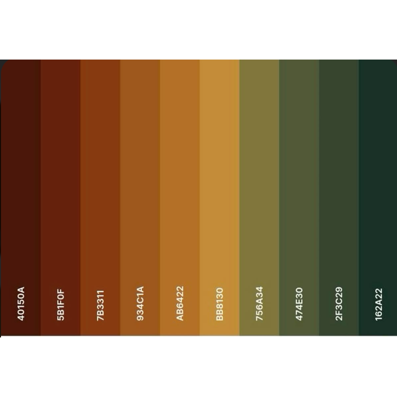 Guests color attire suggestion.