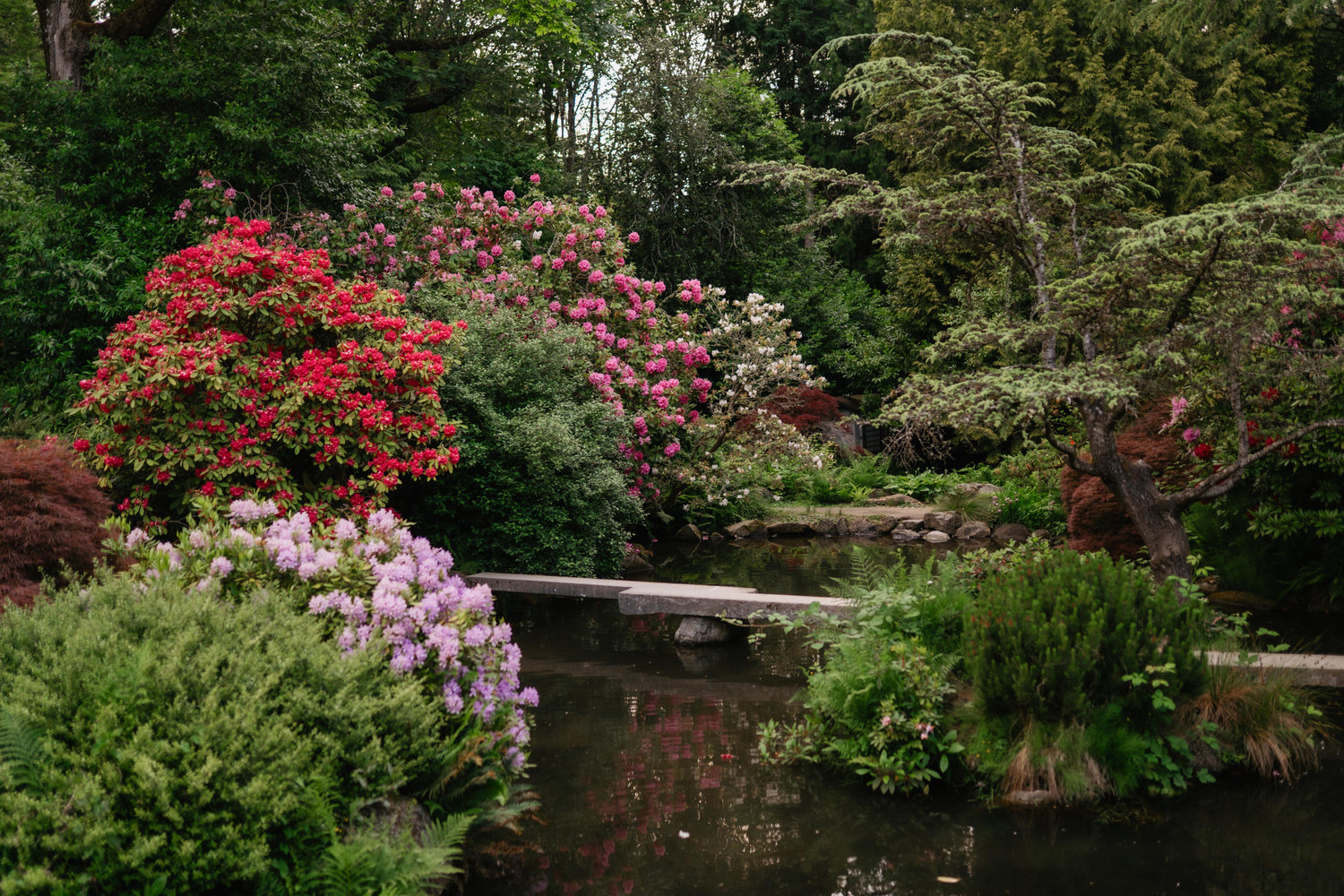 The Wedding Website of Sasha Singh and William Fern