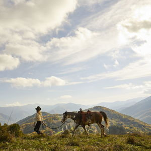 Horseback Riding Adventure