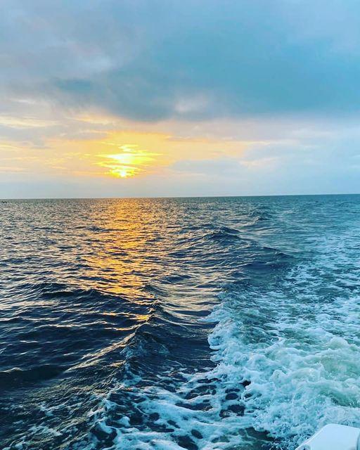 The Wedding Website of Olivia Sherrod and Richard Kirkpatrick