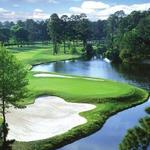 Golf, Golf and More Golf....