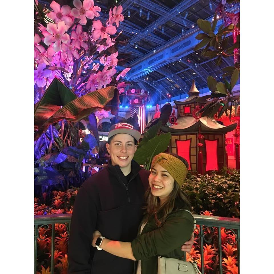 Bellagio Gardens, Las Vegas