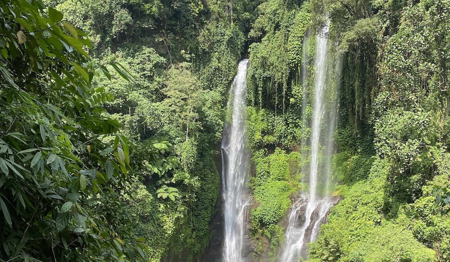 b2117113-7ba3-46b2-9c24-ef8fb9ff390f