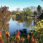 UC Davis Arboretum and Public Garden