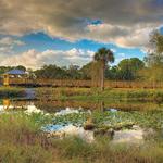 Conservancy of Southwest Florida