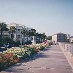 The Battery & White Point Gardens