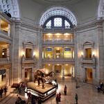 Smithsonian National Museum of Natural History