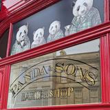 Panda & Sons