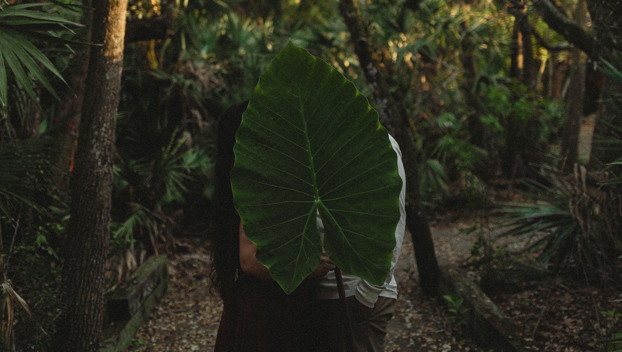 The Wedding Website of Pua Galindo and Nick Douty