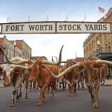 Fort Worth Stockyards