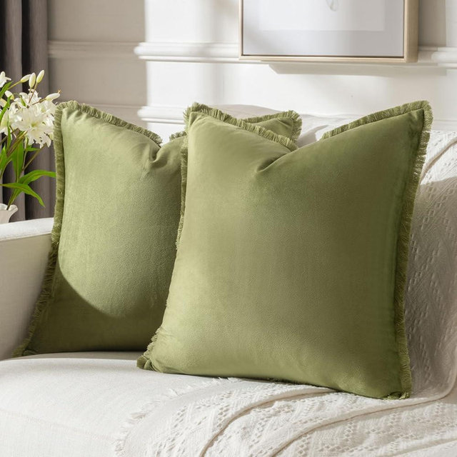 FUTEI Sage Green Velvet Decorative Throw Pillow Covers 22x22 Set of 2,Soft Cozy Edge with Tassels Cushion Case,Boho Modern Home Decor for Couch Bed Living Room