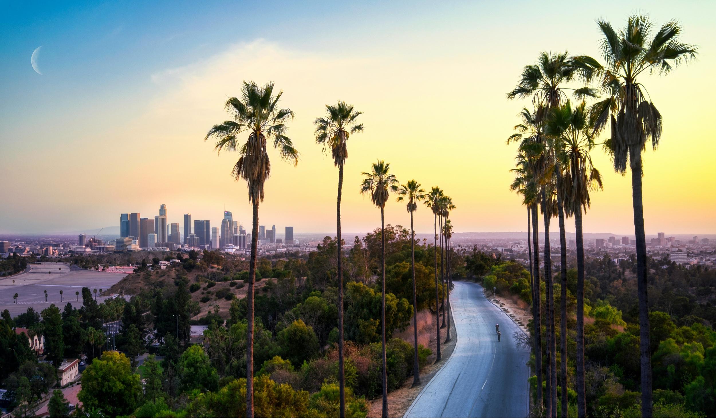 The Wedding Website of Emilio Rodriguez and Ryan Lawson